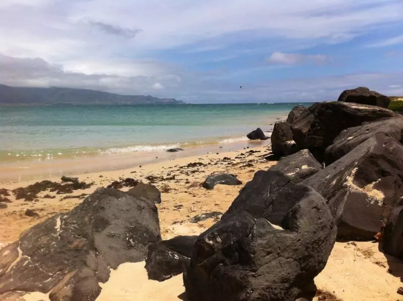Hawaii (c) Alena Gavrilova